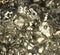 Pyrite Mineral Close Up Macro Detail Fools Gold