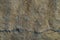 Pyrite polymetallic ore texture close-up. Contains pyrite, chalcopyrite, sphalerite, galena and barite