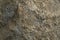 Pyrite polymetallic ore texture close-up. Contains pyrite, chalcopyrite, sphalerite, galena and barite