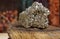 Pyrite Specimen on Raw Tigers Eye Rock With Dried Herbs in Background