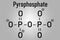 Pyrophosphate PPi anion. Important in biochemistry, used as food additive E450. Skeletal formula.