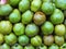 Pyrus communes sweet juicy green fruit
