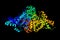 Pyruvate dehydrogenase, the first component enzyme of pyruvate dehydrogenase