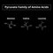 The pyruvate family of amino acids. Chemical molecular formulas of amino acid alanine, valine, leucine. Vector