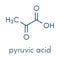 Pyruvic acid pyruvate molecule. Important intermediate in a number of biochemical processes. Skeletal formula.
