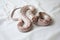 python baggrund pictures
