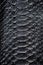 Python leather background. Snake skin pattern texture. Reptile leather.