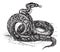 Python vintage engraving