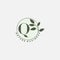 Q Letter Logo Circle Nature Leaf, vector logo design concept botanical floral leaf with initial letter logo icon