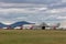 Qantas aircraft parked at Avalon Airport having been grounded during flight cuts during the COVID-19 Coronavirus outbreak