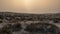 Qatar sea line desert landscape during sunset. selective focus