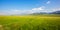 Qilian Plateau meadow in summer