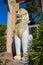 Qilin asian mythological guard white statue in Thai temple