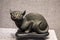 Qing Dynasty ceramic art, Su fetal `black cat`