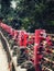 Qingcheng Mountain temple padlocks