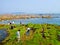 Qingdao city bathing beach rocks