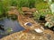 Quacking Duck on Rock by Pond