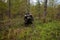 The quad bike jumps over the log in summer