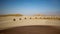Quad Bike in the Namibian Sand Dunes