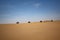 Quad Bike in the Namibian Sand Dunes