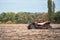 Quad bike is racing at high speed along an oblique field