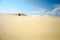 Quad Biking on Sand Dunes