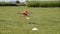Quadcopter Drone Taking Off over lawn