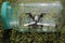 Quadcopter glass jar grass background nobody