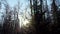 The quadcopter rises and removes the panorama of the winter forest. Sunbeam hits the camera