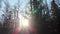 The quadcopter rises and removes the panorama of the winter forest. Sunbeam hits the camera