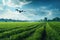 Quadcopters monitor the condition of the crop over the farmer\\\'s field to identify pests and plant diseases