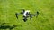 Quadrocopter with camera on a background of green grass