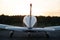 Quadruple aircraft parked at a private airfield. Rear view of a plane with a propeller on a sunset background.