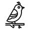 Quail on branch icon, outline style