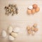 Quail, chicken, goose and guinea fowl eggs of different sizes and colors.