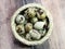 Quail egg so close, bird offspring, healthy protein food