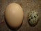 Quail egg. Comparison of the size of chicken egg and quail egg. Set of beige and quail eggs.  Chicken eggs. Bird eggs Bird, Birds,