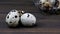 Quail egg on wooden background. Food, healthy product