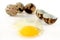 Quail eggs