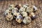 quail eggs bamboo mat