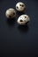 Quail eggs on a black background. Bird spotted eggs. Several objects. Healthy food