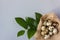 Quail eggs in a burlap nest, next to a green branch. elegant easter background, top view, copy space, close-up.