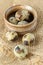 Quail eggs and a clay bowl on a cloth made of sacking. Rustic still life with quail eggs. Small colorful quail eggs close-up