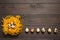 Quail eggs in the decorative nest and a number of quail eggs on dark wooden background. The view from the top. Copy space