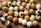 quail eggs grouped and lined out on rustic wooden table