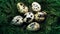 Quail eggs in a nest of grass