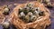 Quail eggs in nest on wood