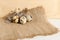 Quail eggs on a rough burlap cloth with beautiful feathers on a wooden surface background