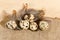 Quail eggs on a rough burlap cloth with beautiful feathers on a wooden surface background