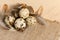 Quail eggs on a rough burlap cloth with beautiful feathers on a wooden surface background